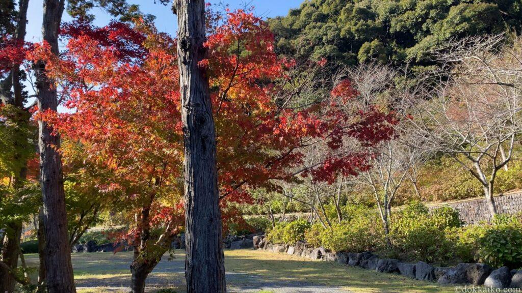 法多山・もみじまつり