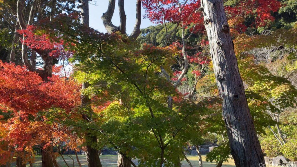法多山・もみじまつり