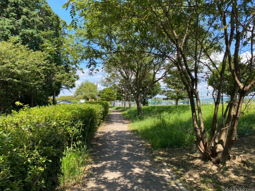 兎山公園