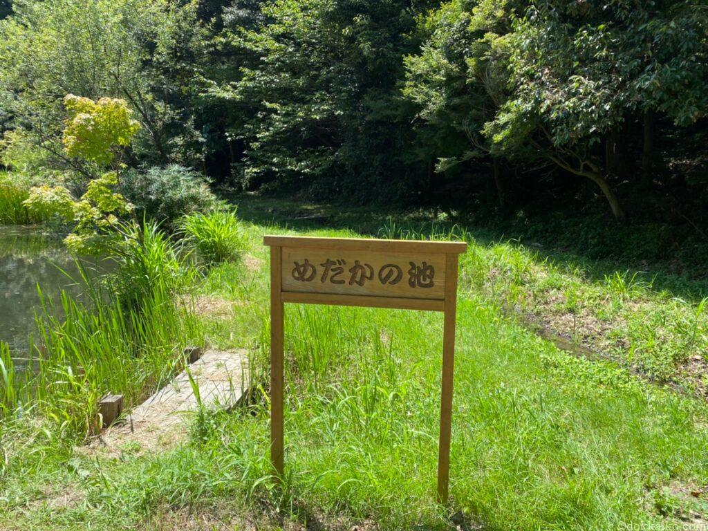 兎山公園