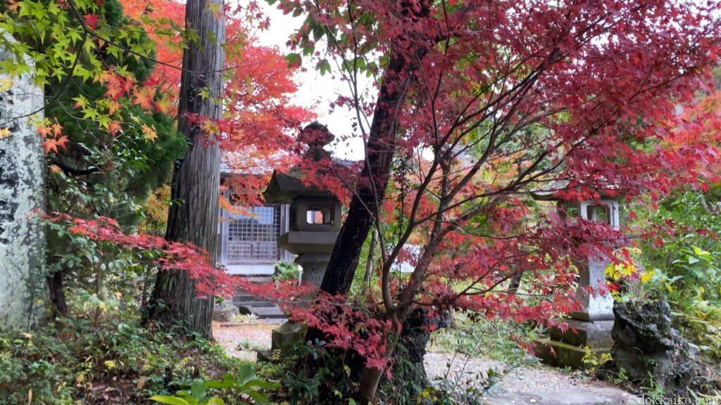 可睡斎紅葉