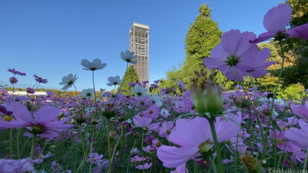 浜名湖ガーデンパーク