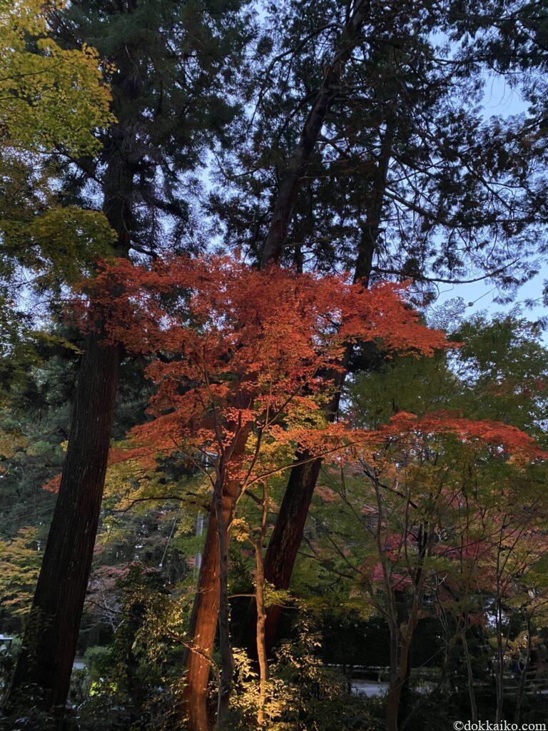 小國神社
