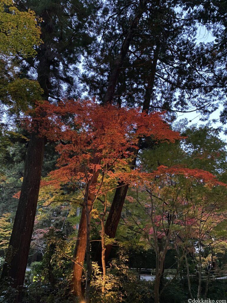 小國神社