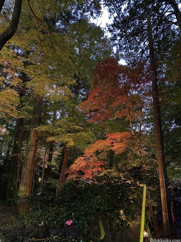 小國神社