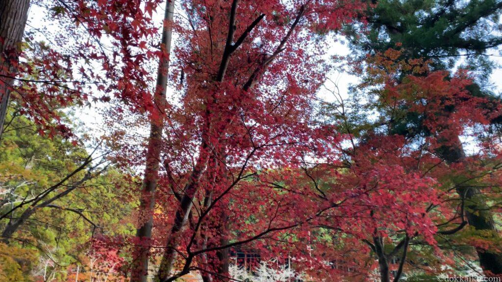 小國神社
