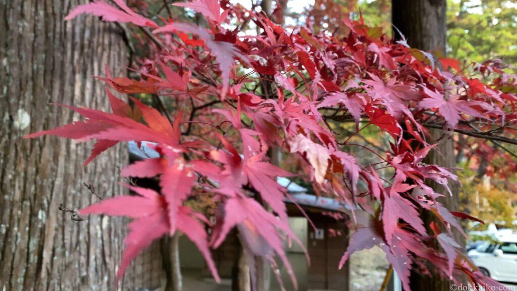 小國神社