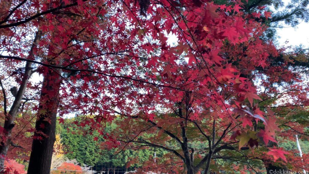 小國神社