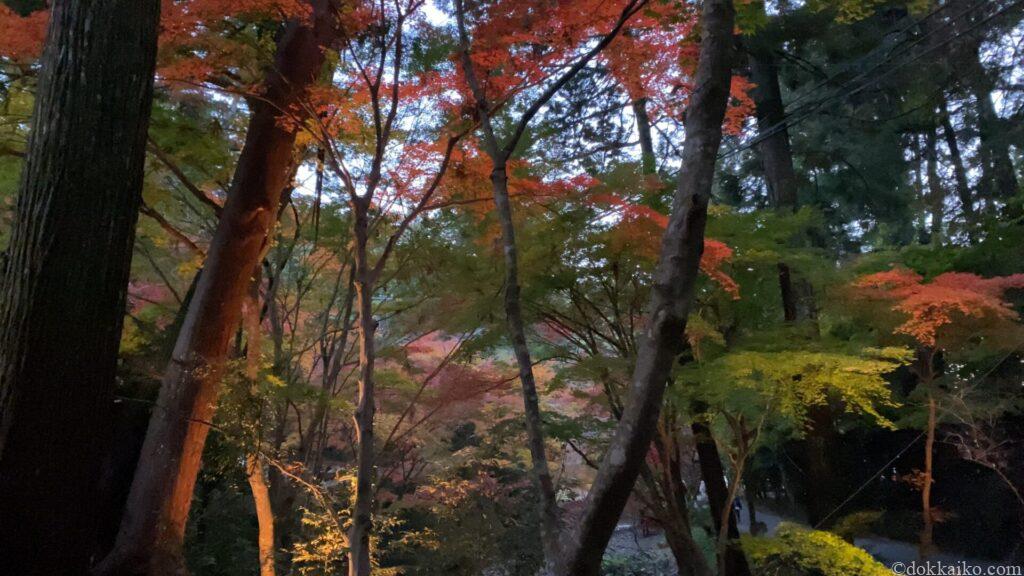 小國神社