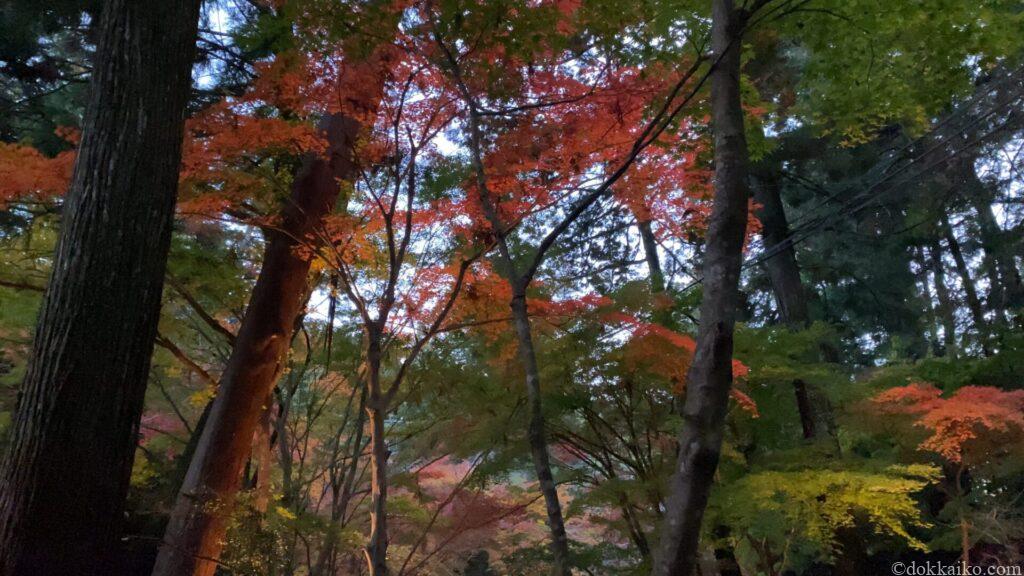 小國神社