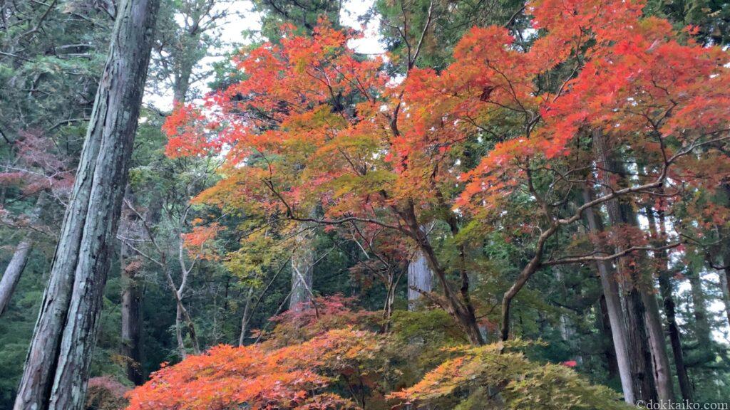 小國神社