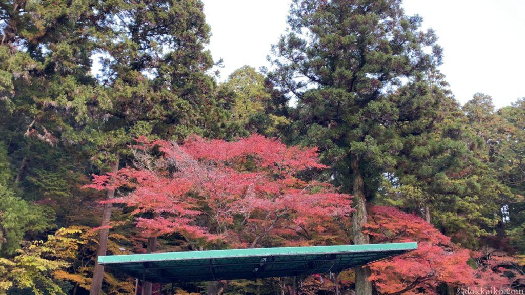 小國神社
