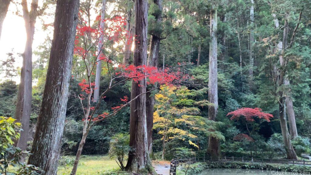 小國神社