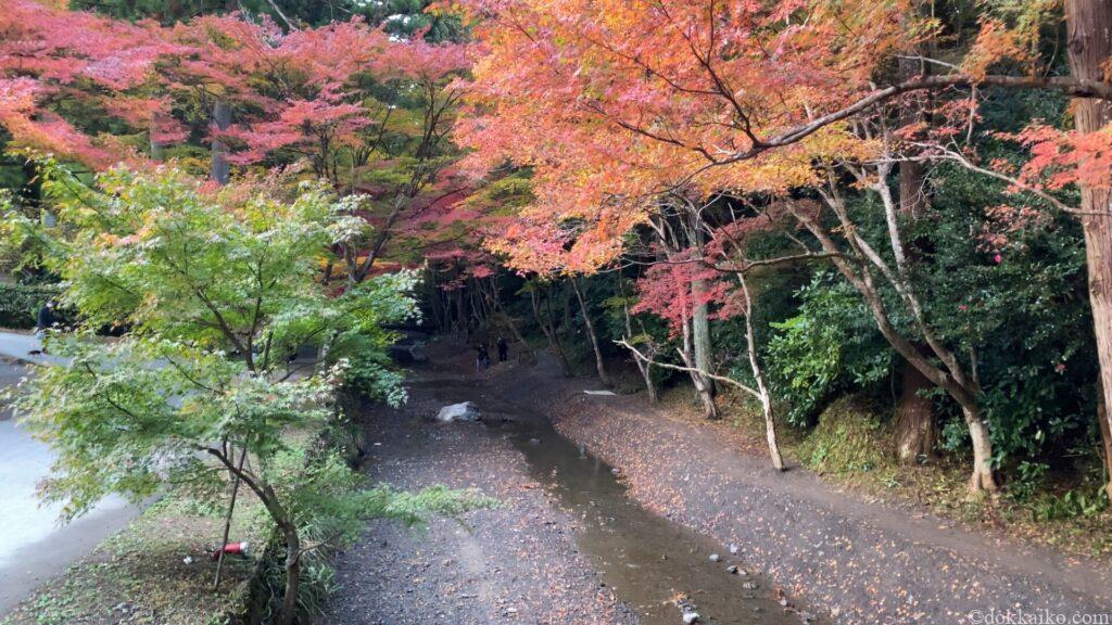 小國神社