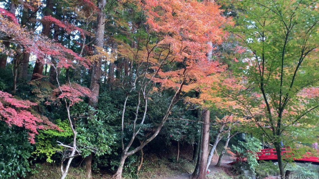 小國神社