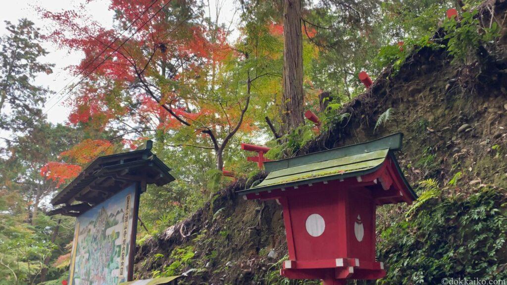 油山寺紅葉