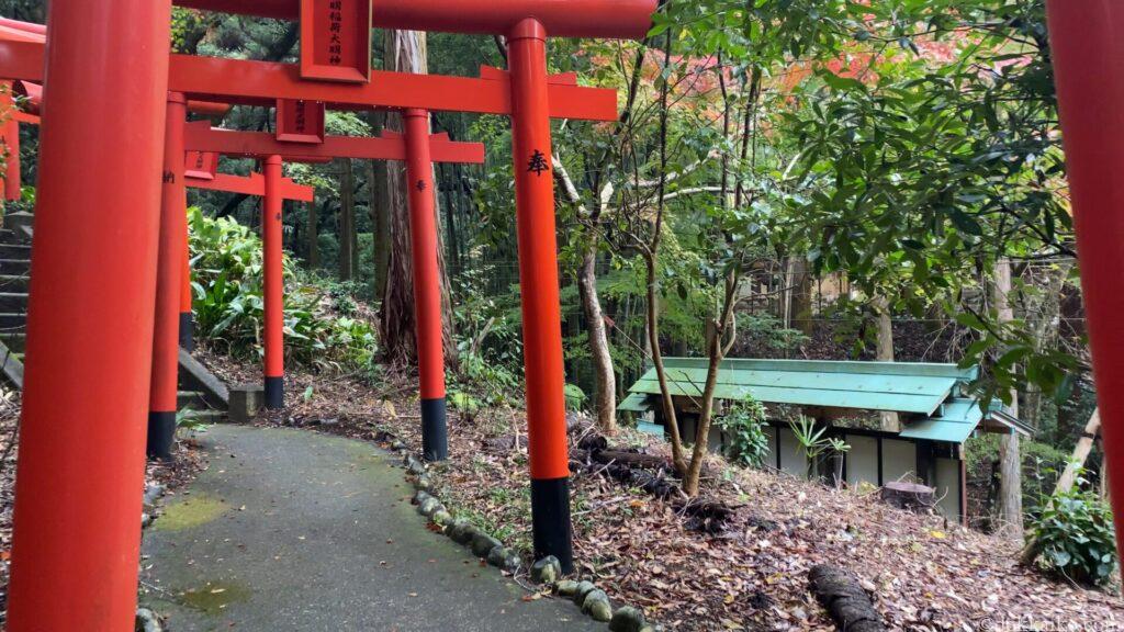 油山寺紅葉