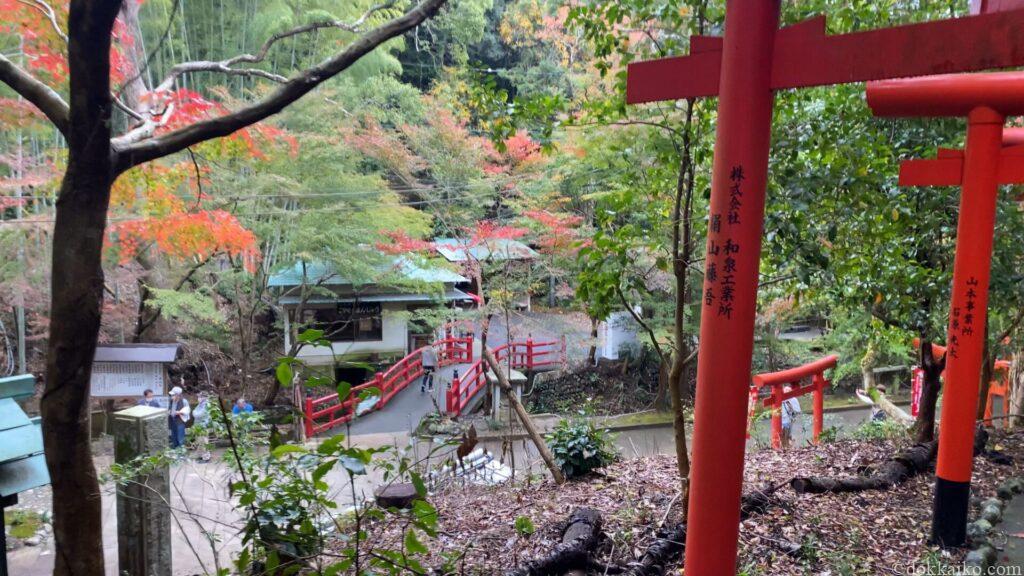 油山寺紅葉