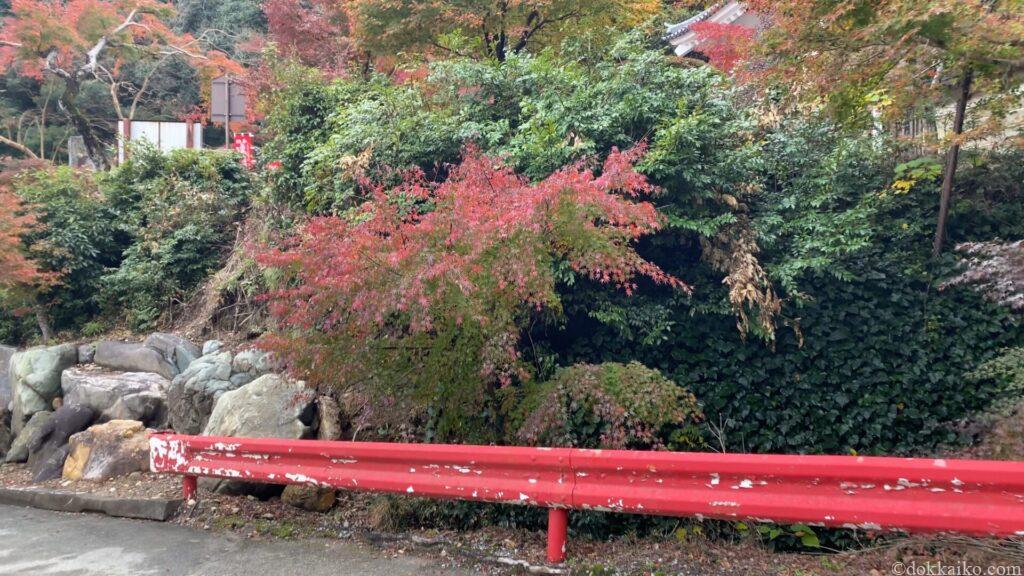 油山寺紅葉