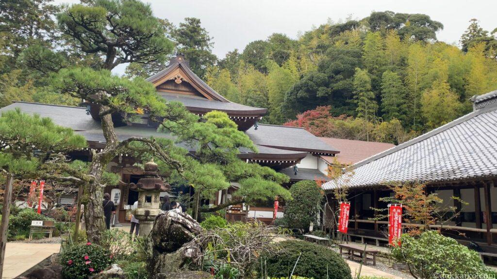 油山寺紅葉