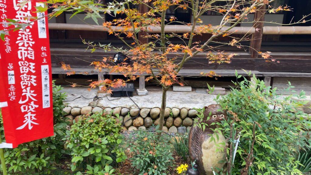 油山寺紅葉