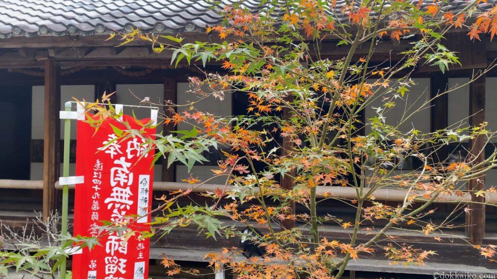 油山寺紅葉