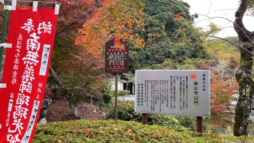 油山寺紅葉