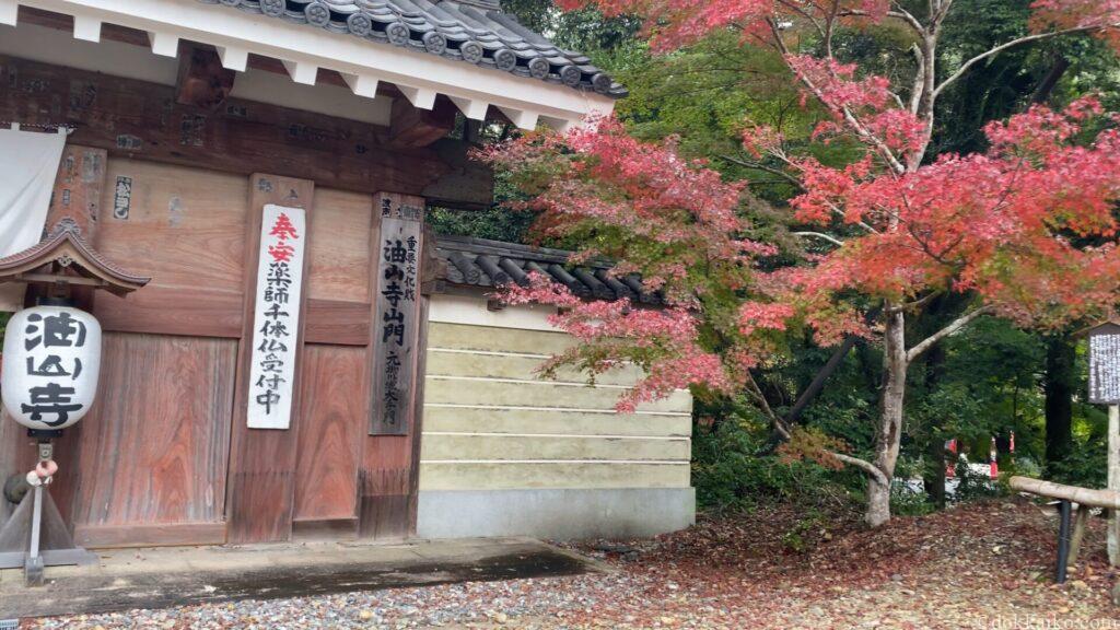 油山寺紅葉