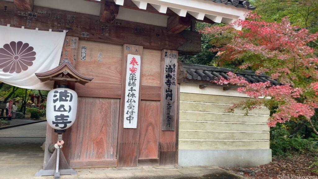 油山寺紅葉
