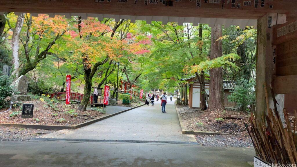 油山寺紅葉