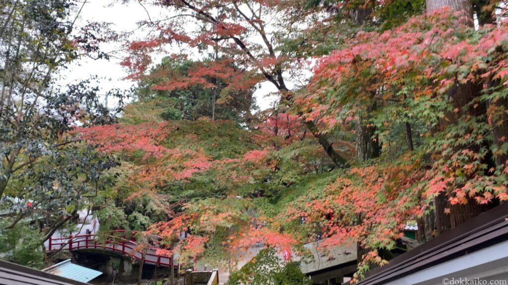 油山寺紅葉