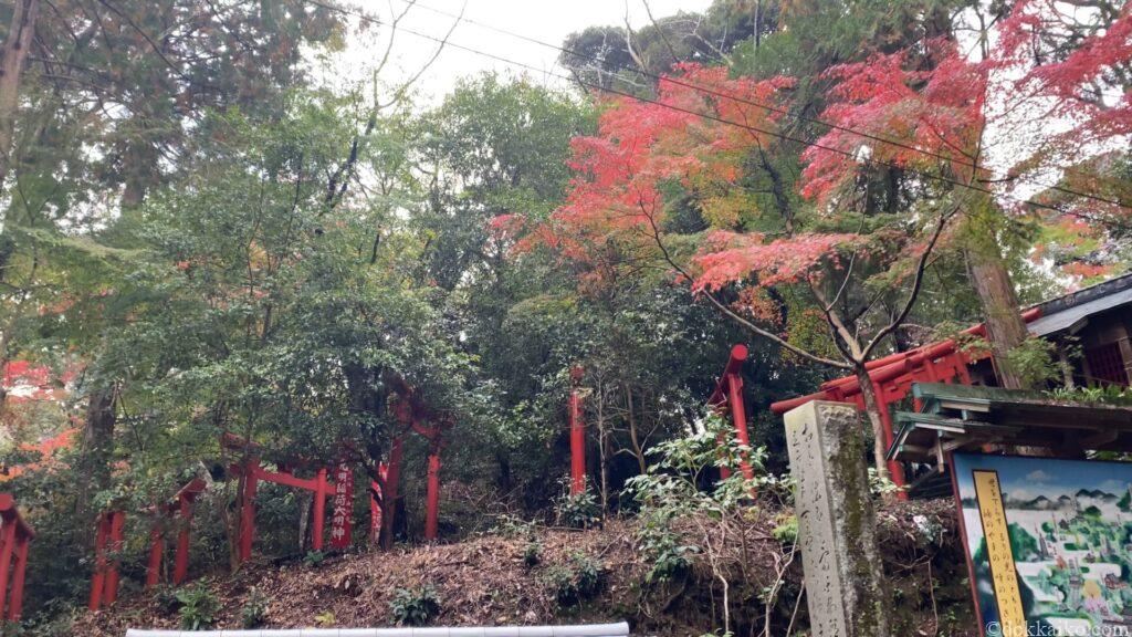 油山寺紅葉