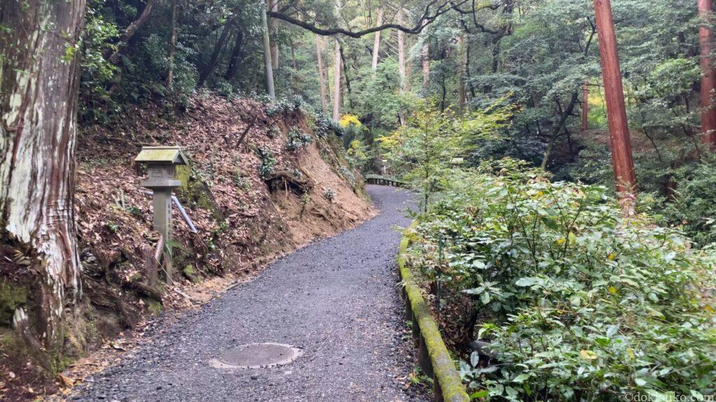 油山寺紅葉