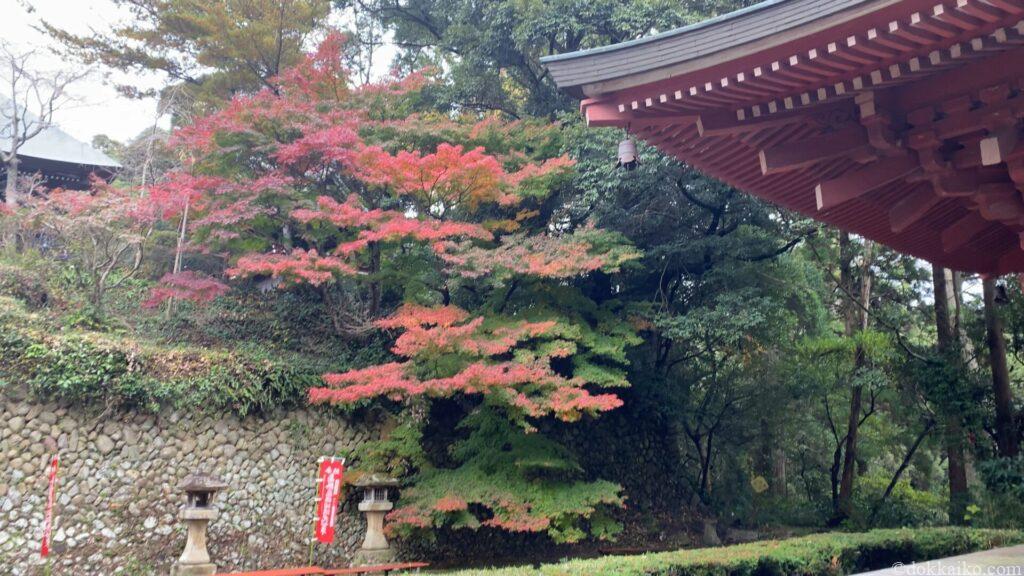 油山寺紅葉
