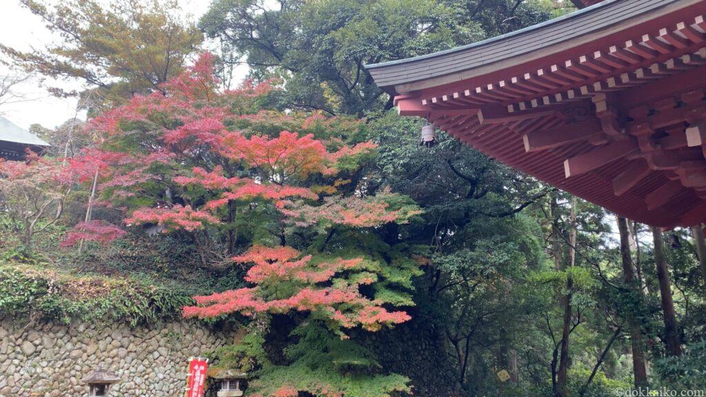 油山寺紅葉