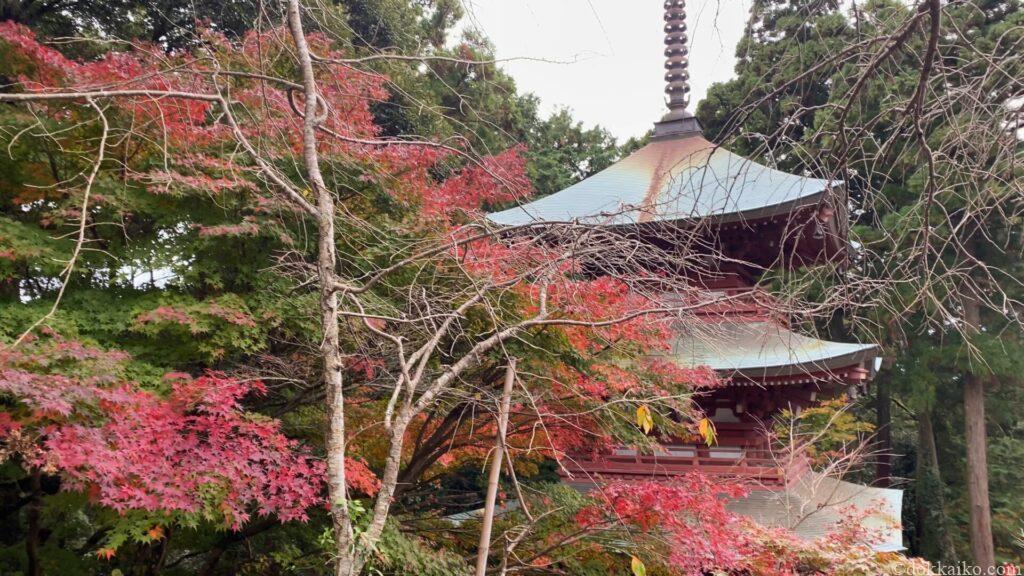 油山寺紅葉