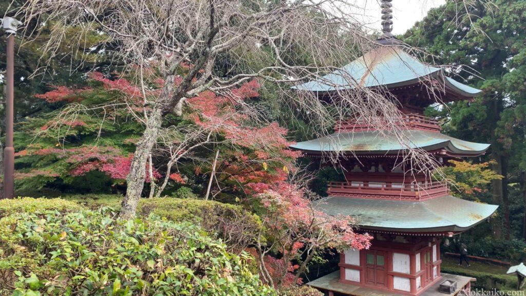 油山寺紅葉