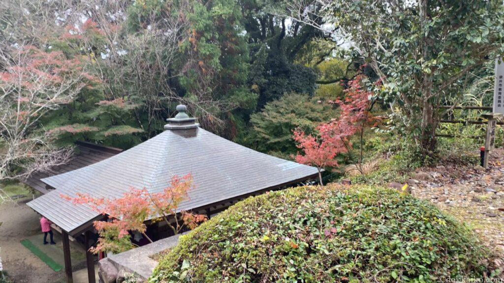 油山寺紅葉