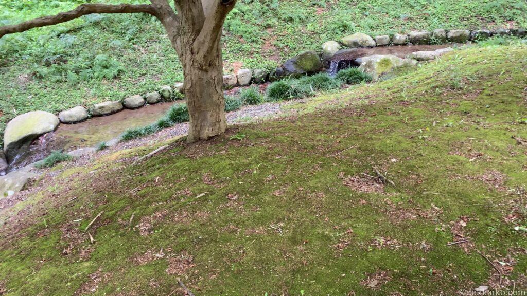 清水日本平運動公園