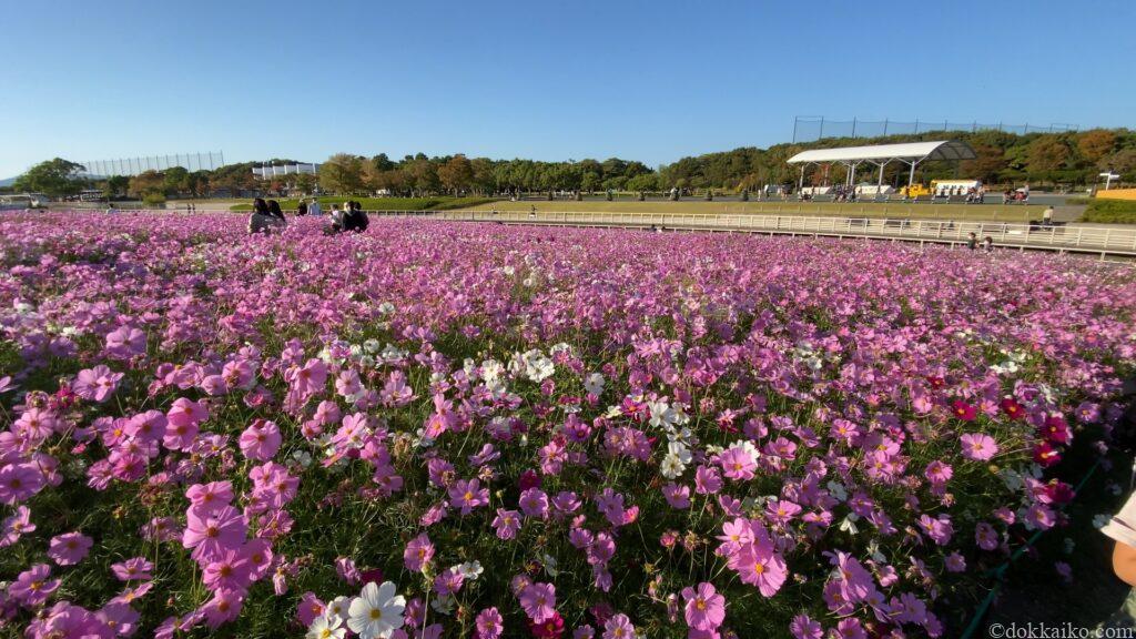 浜名湖ガーデンパーク