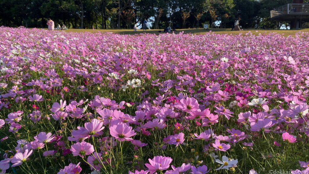 浜名湖ガーデンパーク