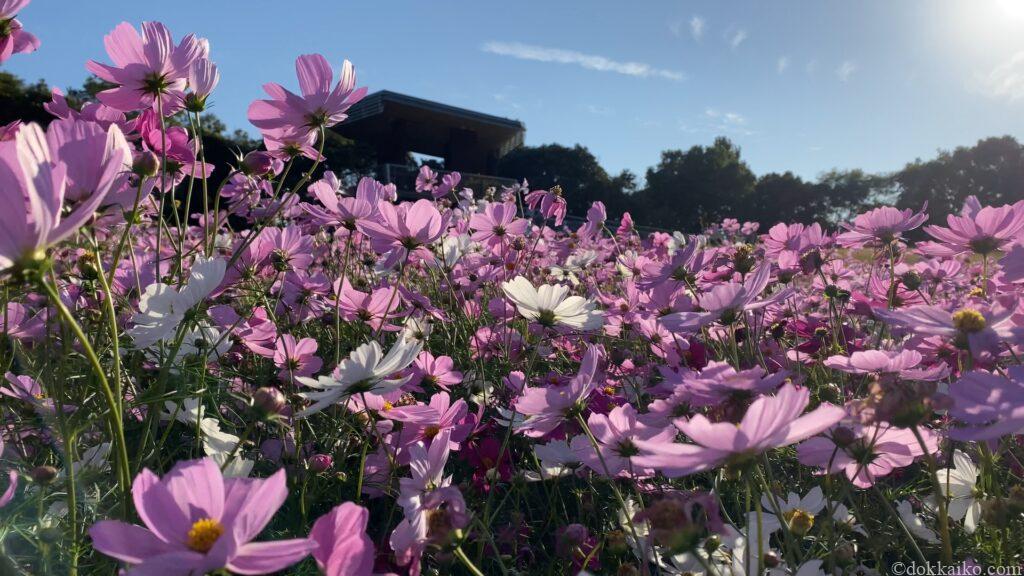浜名湖ガーデンパーク
