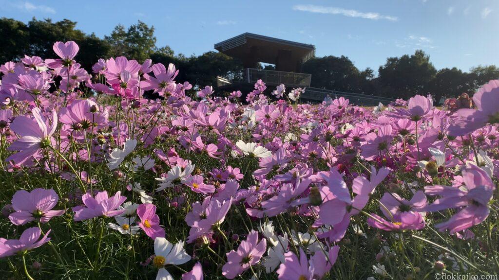 浜名湖ガーデンパーク