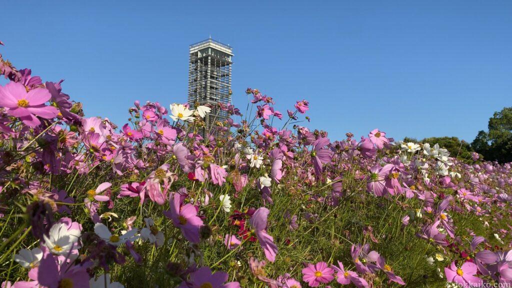 浜名湖ガーデンパーク