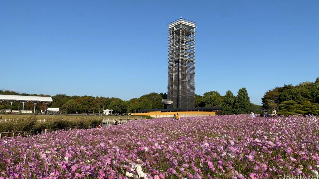 浜名湖ガーデンパーク