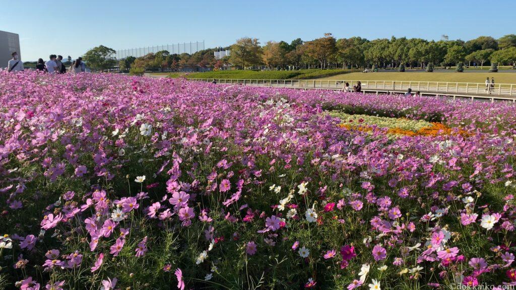 浜名湖ガーデンパーク