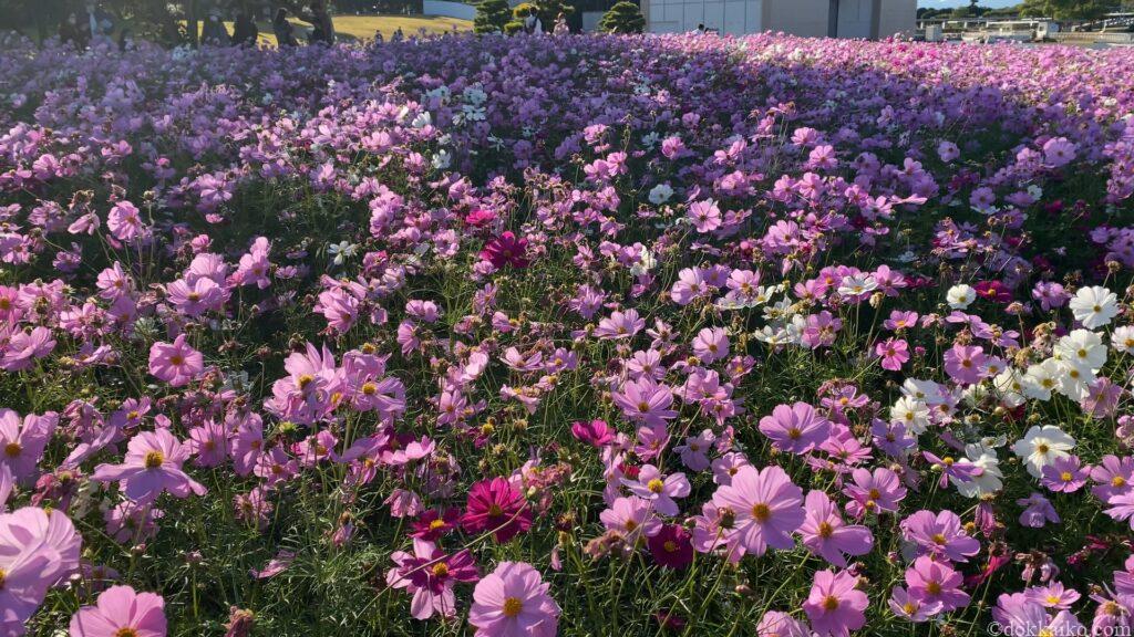 浜名湖ガーデンパーク