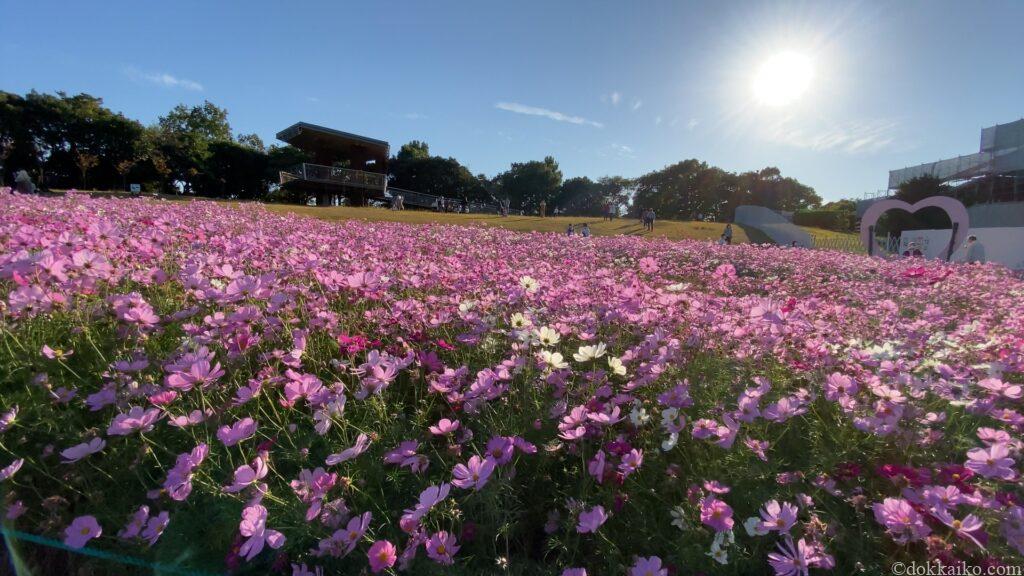浜名湖ガーデンパーク