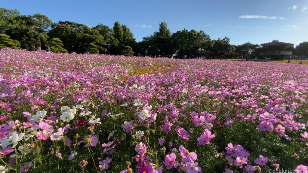 浜名湖ガーデンパーク