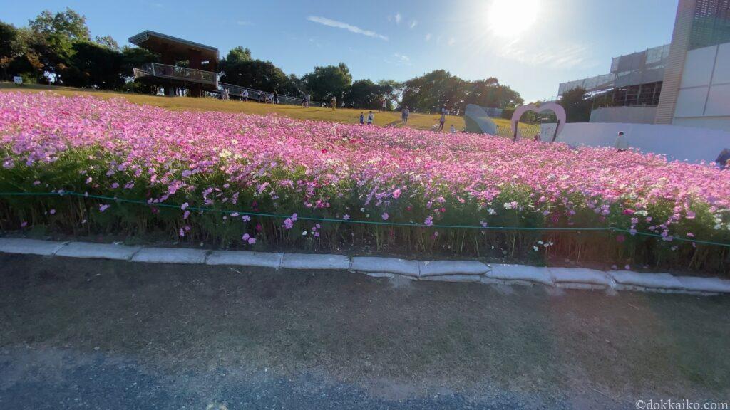 浜名湖ガーデンパーク